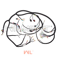 Электропроводка HC CPCD 50-70RG24 (GR504-710000-002) Электропроводка HC CPCD 50-70RG24 (GR504-710000-002)