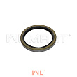 Сальник ступицы ВМ FD20-30T3 TCM (100x125x13) (23653-02001) 
