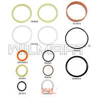 Ремкомплект ЦН HC CPCD35-38 X (ф35) (AX40M300-6-000-KIT) 