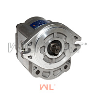 Насос гидравлический Dalian CPD10-18 ПВ (CBWF-F306-ALB) Насос гидравлический Dalian CPD10-18 ПВ (CBWF-F306-ALB)