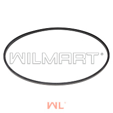 Кольцо уплотнительное тормозного поршня Hyundai (XKCF-00170) Кольцо уплотнительное тормозного поршня Hyundai (XKCF-00170)
