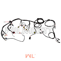 Электропроводка HC CJD25-AC1/2-L (жгут) (оригинал) (AJL253-710000-000) 
