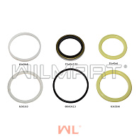 Ремкомплект цилиндра подъема левый/правый HC CPCD35R-2012 (N35M300-4/5-000-kit) Ремкомплект цилиндра подъема левый/правый HC CPCD35R-2012 (N35M300-4/5-000-kit)