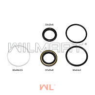 Ремкомплект ЦУ ТСМ FD25T6 ф25 (214A4-59802) Ремкомплект ЦУ ТСМ FD25T6 ф25 (214A4-59802)