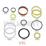 Ремкомплект ЦН CPCD20-30 ф30 (N30M300-6-Kit) Ремкомплект ЦН CPCD20-30 ф30 (N30M300-6-Kit)