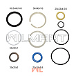 Ремкомплект ЦН Nichiyu FBT15-70 d25 (31850-63250) Ремкомплект ЦН Nichiyu FBT15-70 d25 (31850-63250)