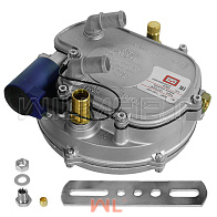 Редуктор газовый  HANGCHA (HC) ОРИГИНАЛ (TERL2.5-1A-G00) 