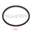 Сальник PROLIFT SK15 155x173x8,5(d160,5) (02.01.3681) 
