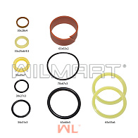 Ремкомплект ЦН CPCD10-18 ф25 2008- (R15M300-6-000-Kit) 