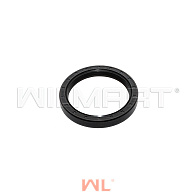 Сальник ступицы ВМ внутренний Komatsu -21 (80х100х13) (3EB-22-21160) Сальник ступицы ВМ внутренний Komatsu -21 (80х100х13) (3EB-22-21160)