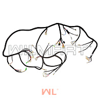 Электропроводка HC CPCD20-38A (490) 2014- (A300-710000-001) 