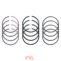 Кольца поршневые WF491GP STD (к-т на двс) (1004011/12/32/31) Кольца поршневые WF491GP STD (к-т на двс) (1004011/12/32/31)