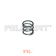 Пружина (TVH4267810) 