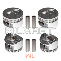 Поршень WF491GP (комплект на двc) (1004015) Поршень WF491GP (комплект на двc) (1004015)