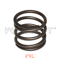 Пружина АКПП Nissan 1F2 (31521-41K00) Пружина АКПП Nissan 1F2 (31521-41K00)