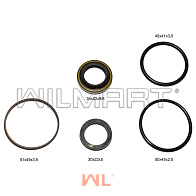 Ремкомплект ЦУ TCM FD15H9 (25594-59802) Ремкомплект ЦУ TCM FD15H9 (25594-59802)