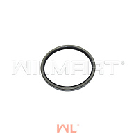 Сальник Nichiyu (110x125x8,5) (70001-23900) Сальник Nichiyu (110x125x8,5) (70001-23900)