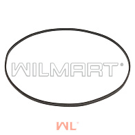 Кольцо уплотнительное тормозного поршня Hyundai (XKBT-00663) Кольцо уплотнительное тормозного поршня Hyundai (XKBT-00663)