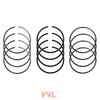Кольца поршневые WF491GP STD (к-т на двс) (1004011/12/32/31) 