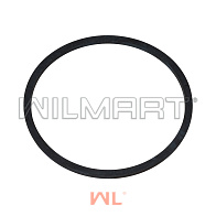 О-кольцо (TVH12587099) 