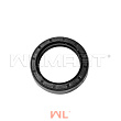 Сальник ступицы ВМ CPCD20-35 (45x62x12) (HG4-692-67 PD45x62x12) 