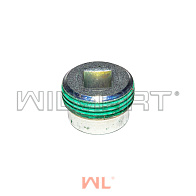 Заглушка резьбовая Yanmar 4TNE92-98 блок 1" (YM171051-01921) Заглушка резьбовая Yanmar 4TNE92-98 блок 1" (YM171051-01921)