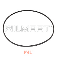 Кольцо уплотнительное тормозного поршня Hyundai Кольцо уплотнительное тормозного поршня Hyundai