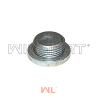 Заглушка ГБЦ резьбовая Toyota 4Y Заглушка ГБЦ резьбовая Toyota 4Y